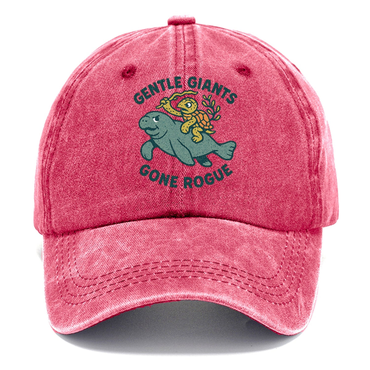 Rogue Cartoon Washed Cap