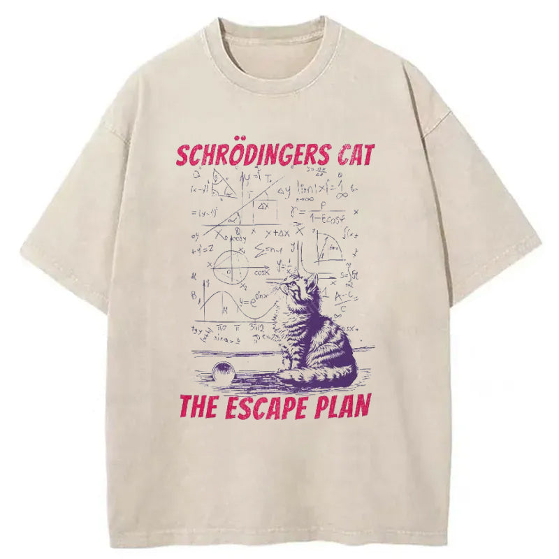 Schrodinger's Cat Washed T-Shirt