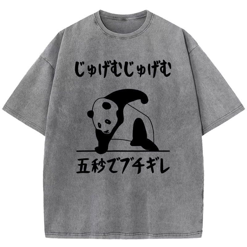 Losing Your Temper In Five Seconds Washed T-Shirt