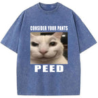 Consider Your Pants Peed Meme Washed T-Shirt