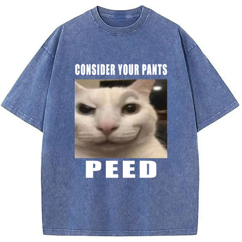 Consider Your Pants Peed Meme Washed T-Shirt