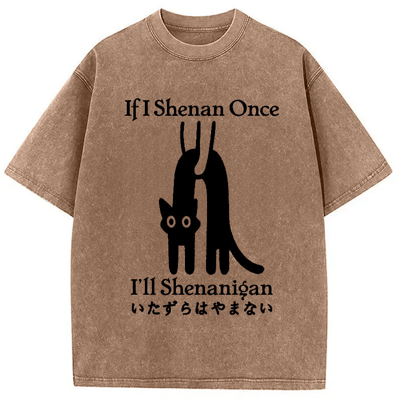 If I Shenan Once I'll Shenanigan Washed T-Shirt
