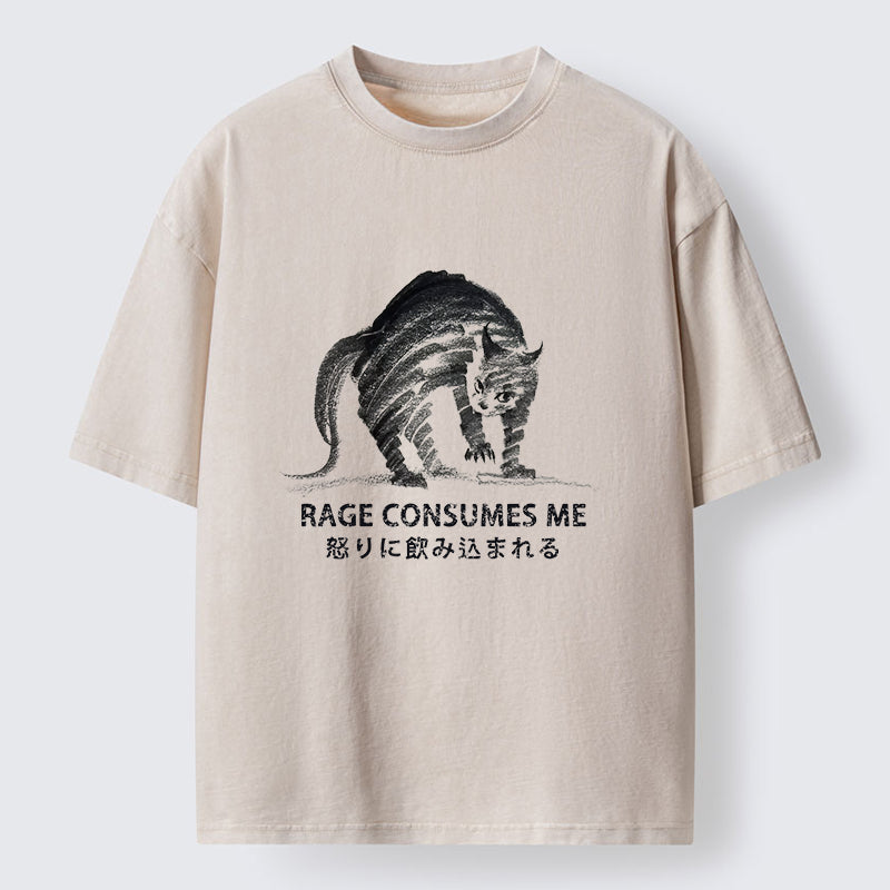 Unisex Rage Consumes Cat Washed T-Shirt