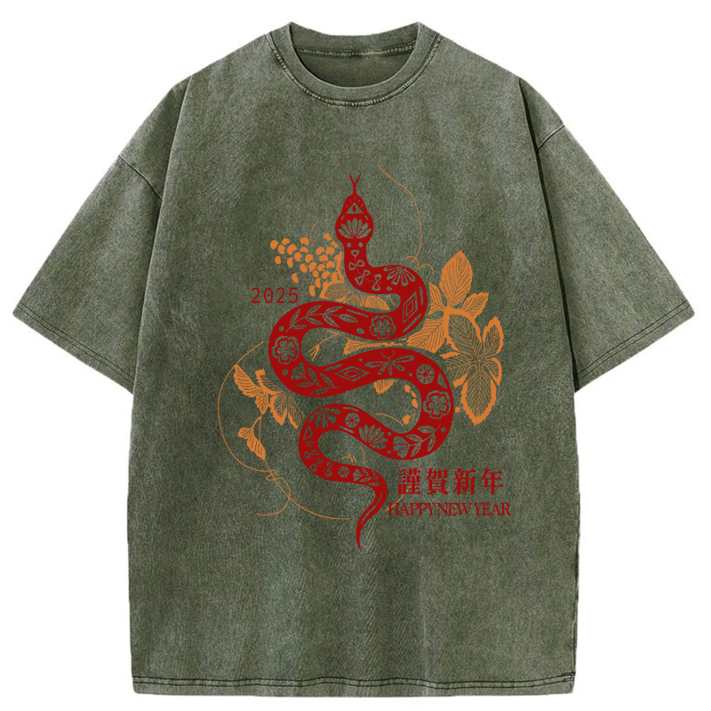 Welcome The Year Of The Snake Washed T-Shirt