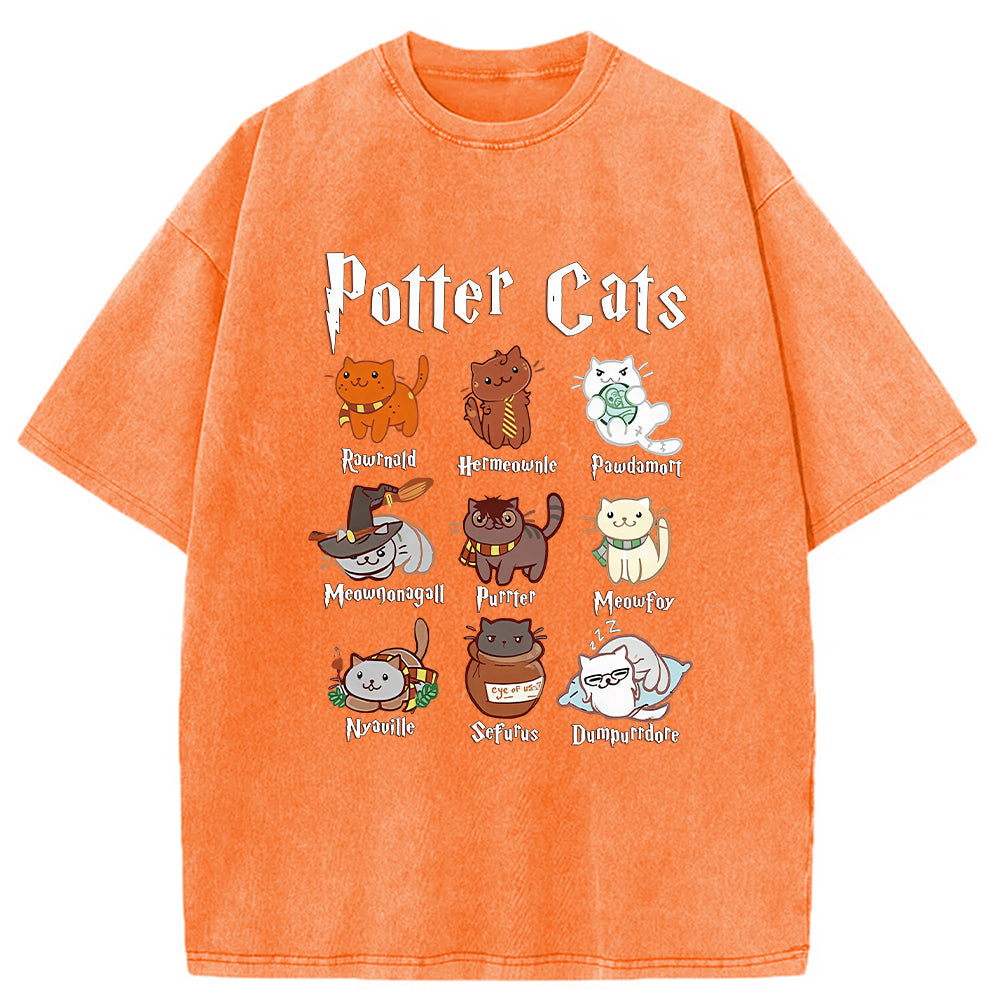 Wizard Cats Washed T-Shirt