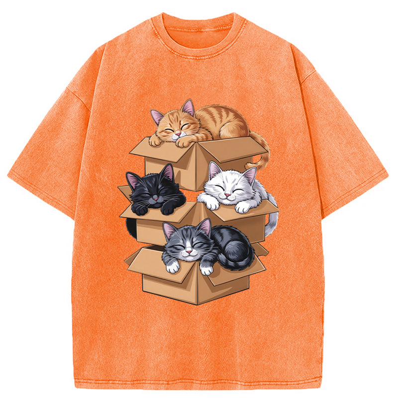Kawaii Cardboard Cat Washed T-Shirt