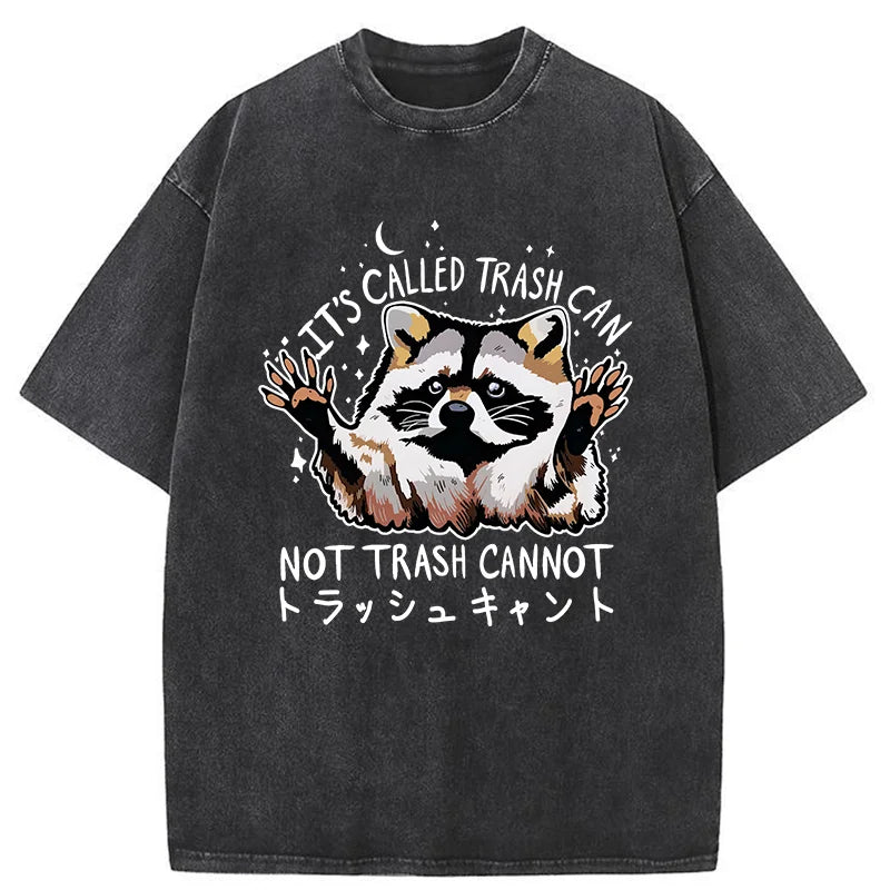 Adorable Raccoon Washed T-Shirt