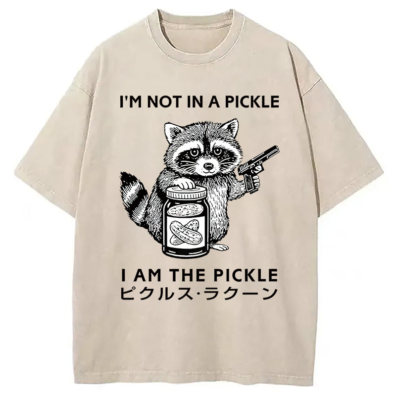 Funny Raccoon Japan Washed T-Shirt