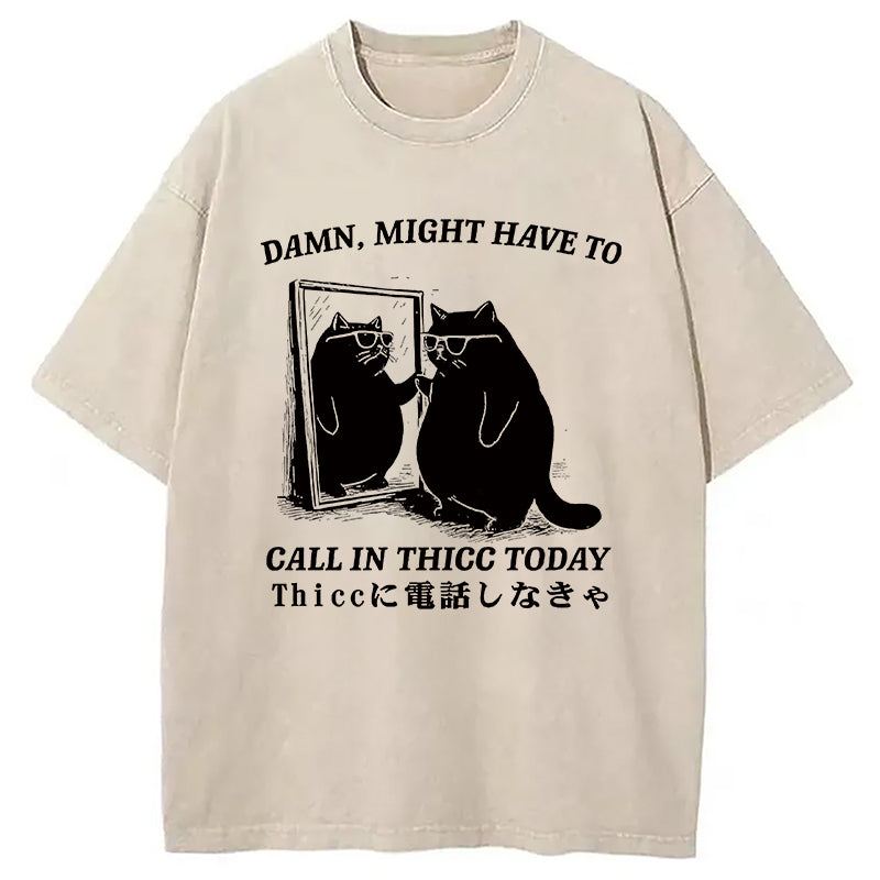 Cat Admiring Himself Washed T-Shirt