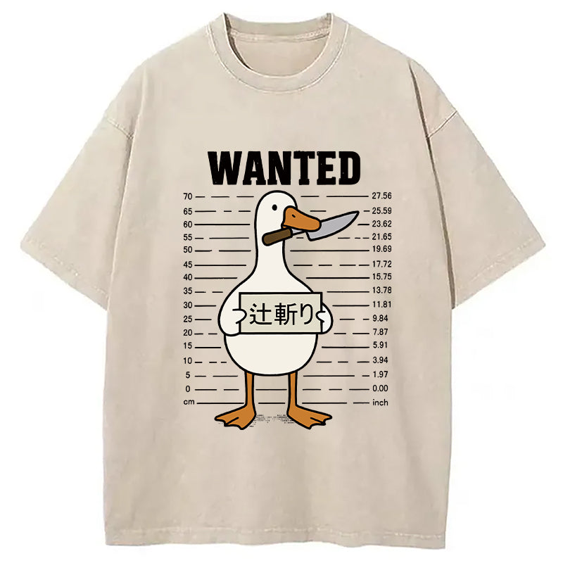 Wanted Silly Goose Washed T-Shirt