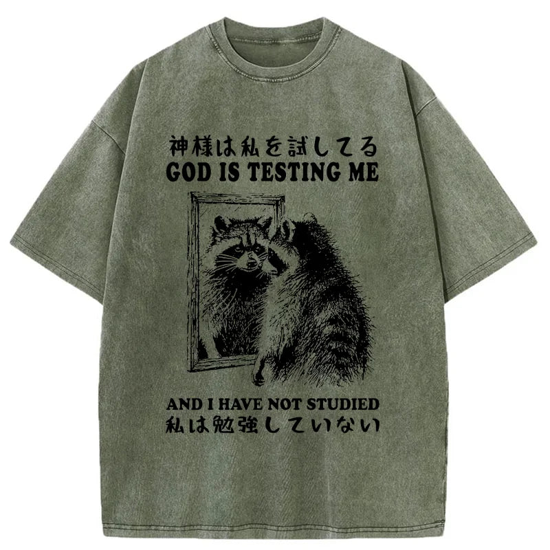 Raccoon Not Studied Washed T-Shirt