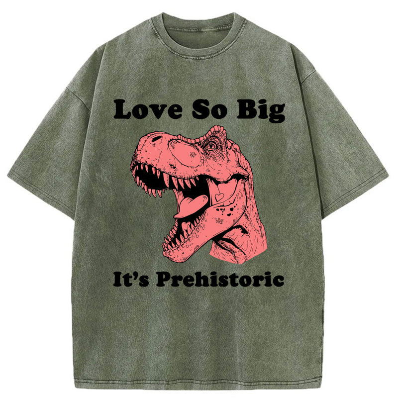 Unisex Prehistoric Love Washed T-Shirt