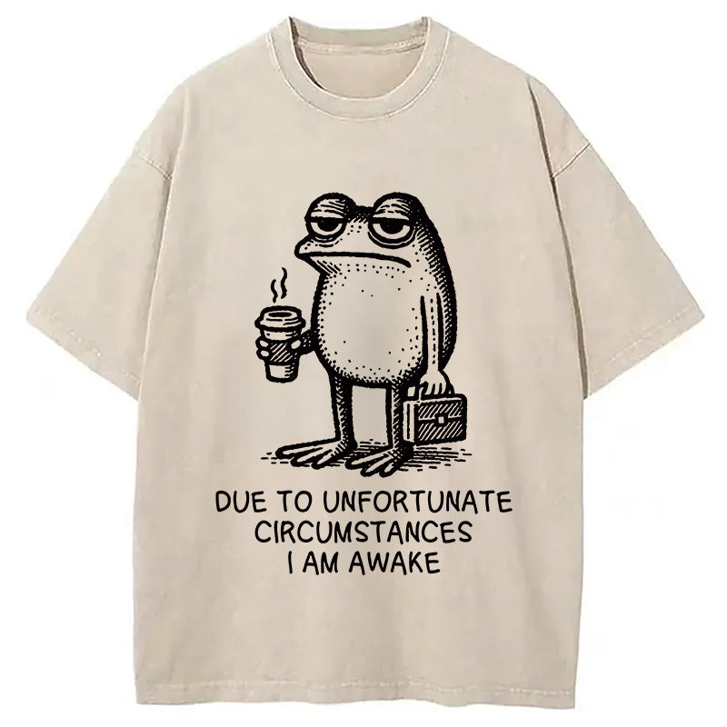 Decadent Frog Washed T-Shirt