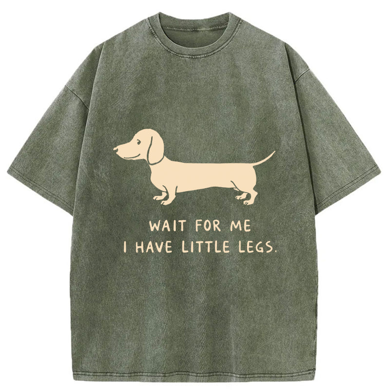 Unisex Wait For The Dachshund Washed T-Shirt