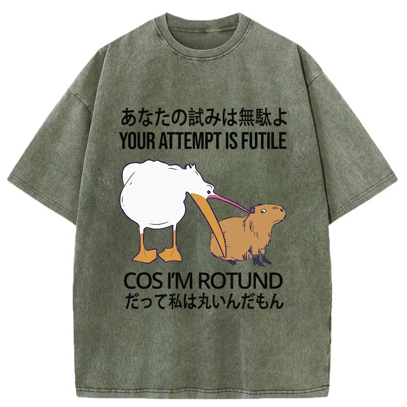 Your Attempts Are In Vain Washed T-Shirt