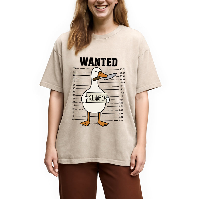 Wanted Silly Goose Washed T-Shirt