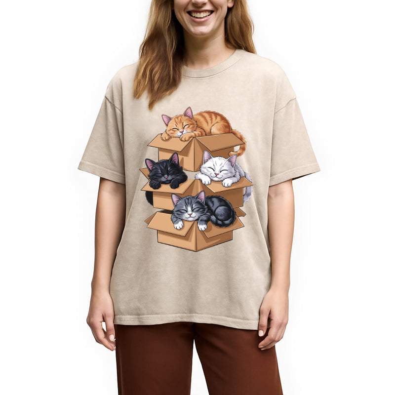 Kawaii Cardboard Cat Washed T-Shirt