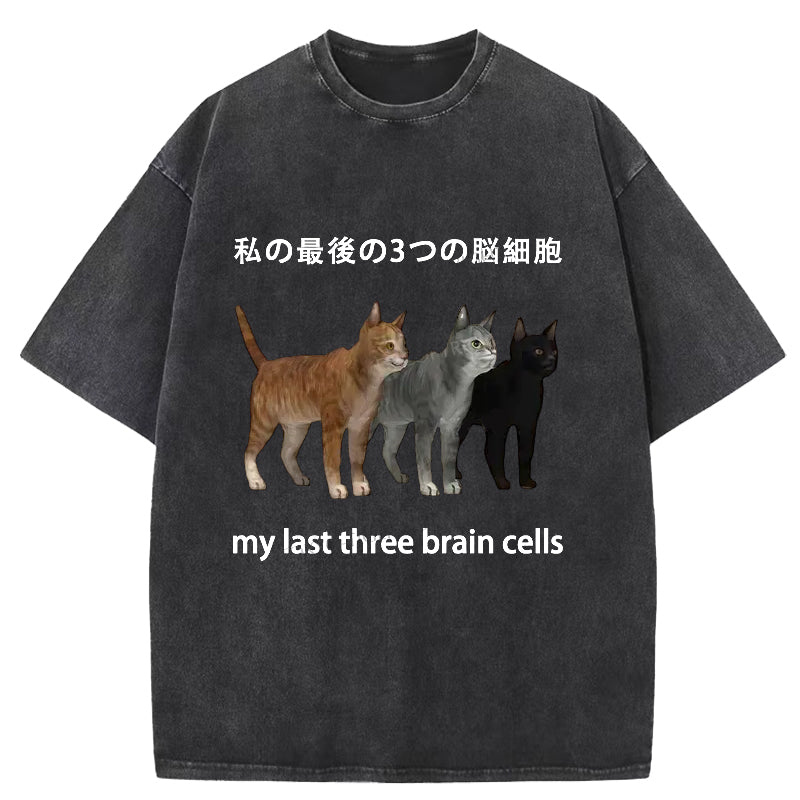 My Last Three Brain Cells Washed T-Shirt