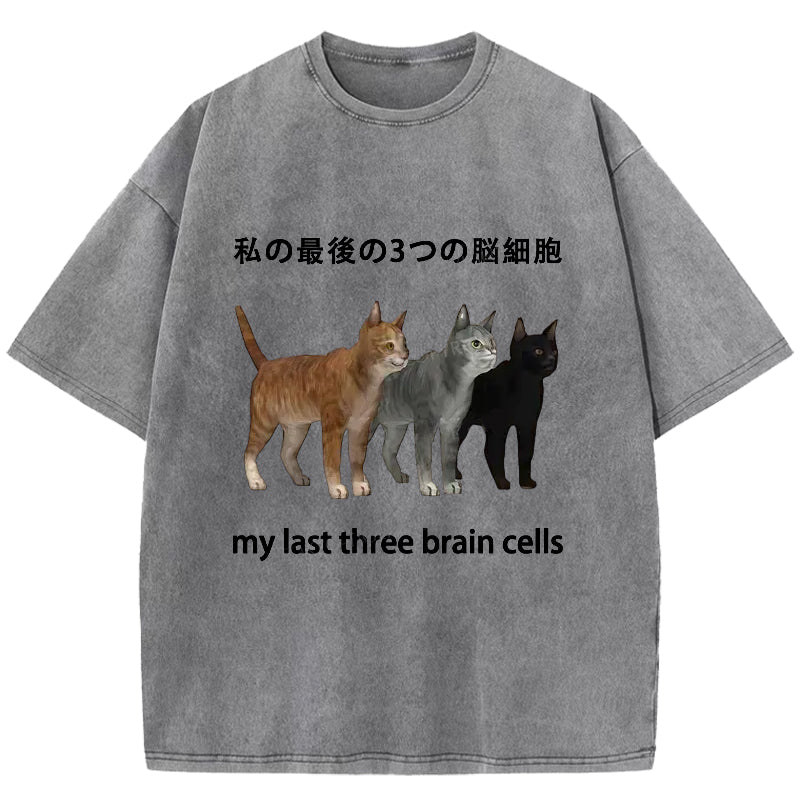 My Last Three Brain Cells Washed T-Shirt