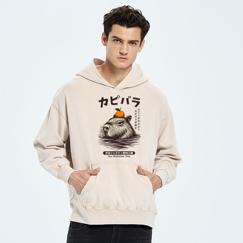 Capybara Hot Spring Washed Hoodie