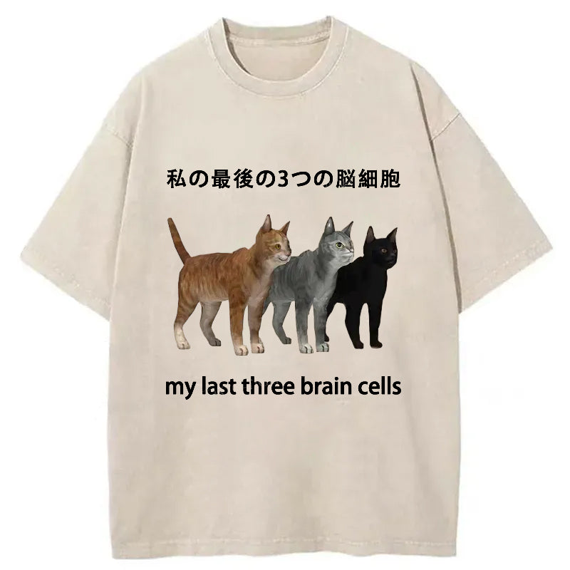 My Last Three Brain Cells Washed T-Shirt
