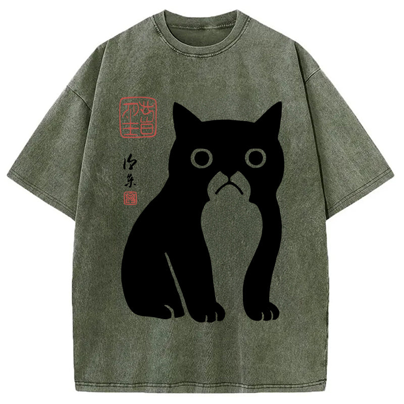 Funny Zen Cat Meme Washed T-Shirt