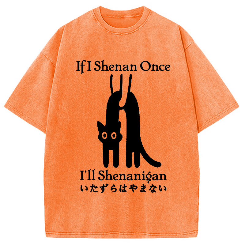 If I Shenan Once I'll Shenanigan Washed T-Shirt