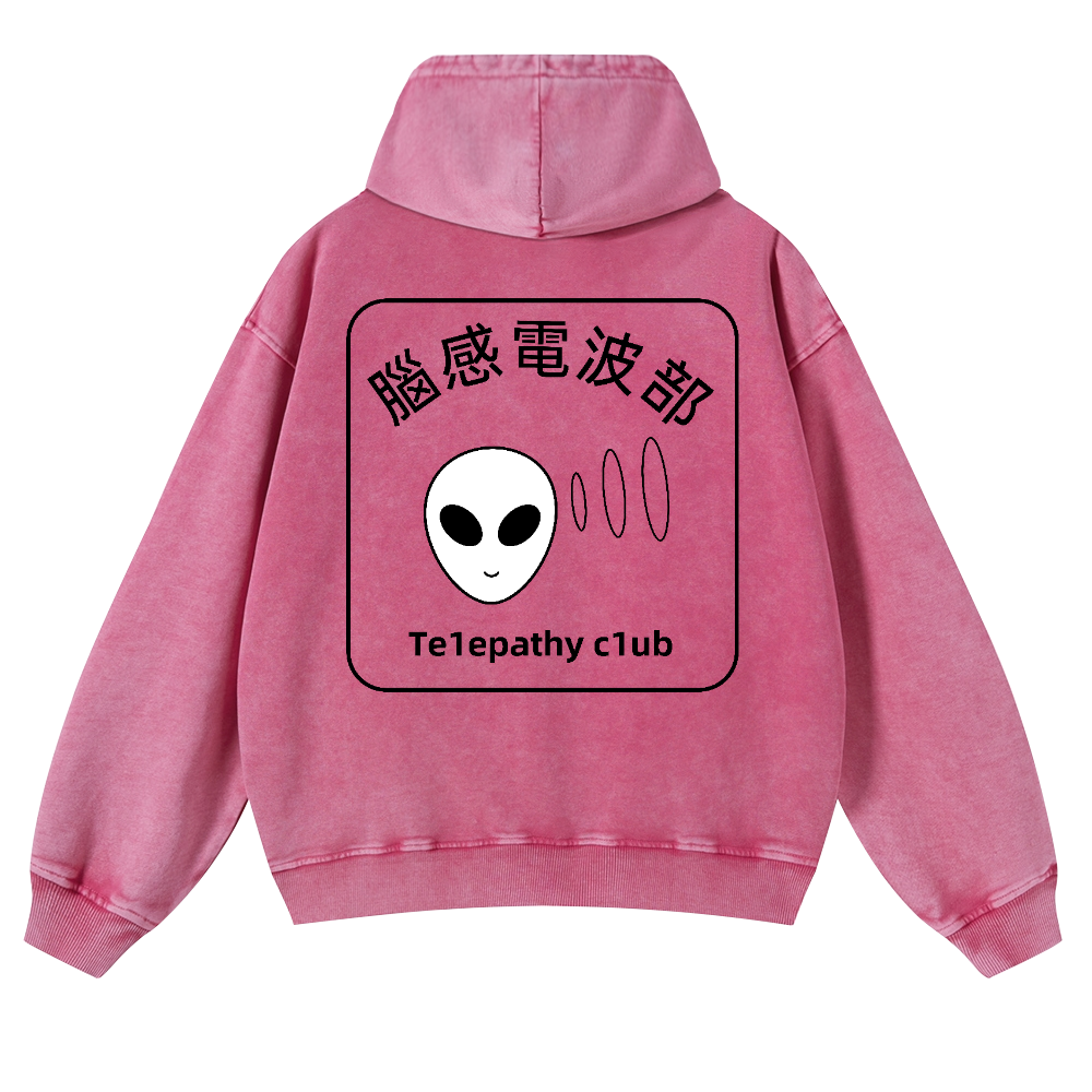 Telepathy Club Vintage Washed Cotton Back Art Hoodie