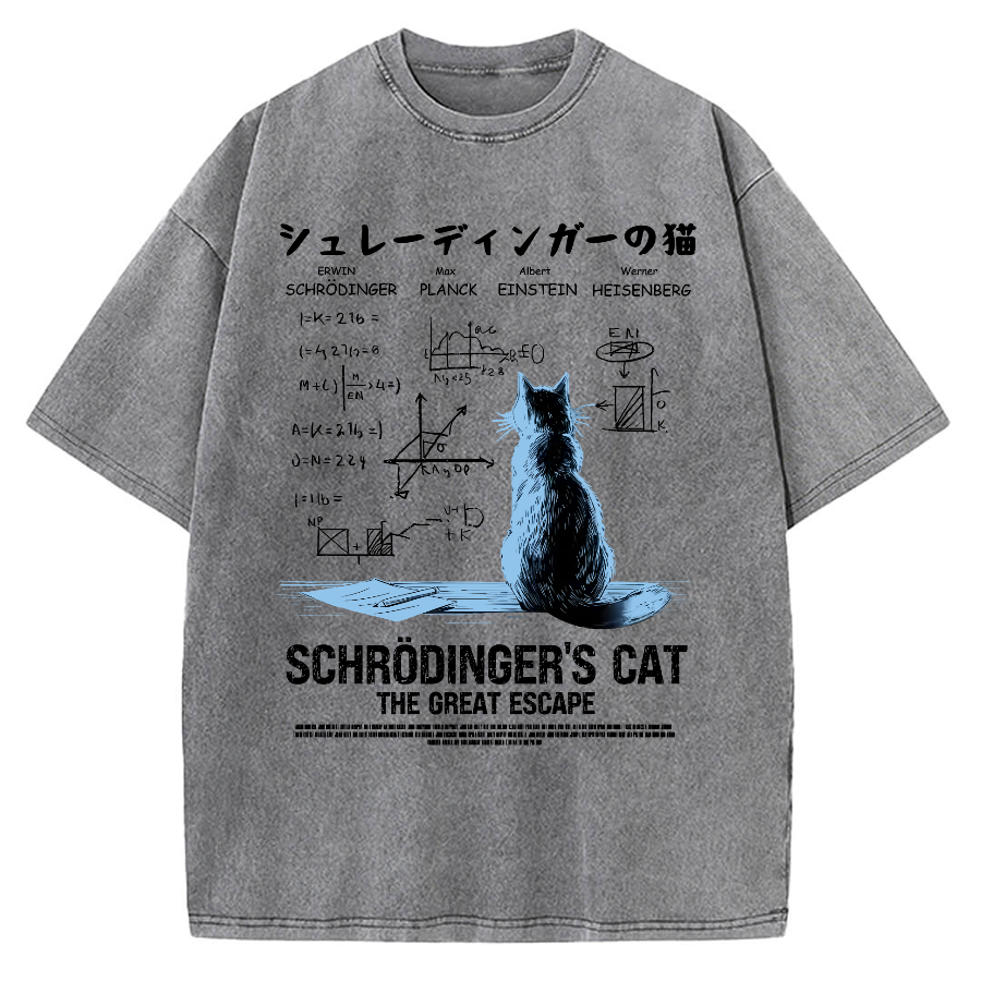 Schrodinger's cat escape plan Vintage Washed T-shirt