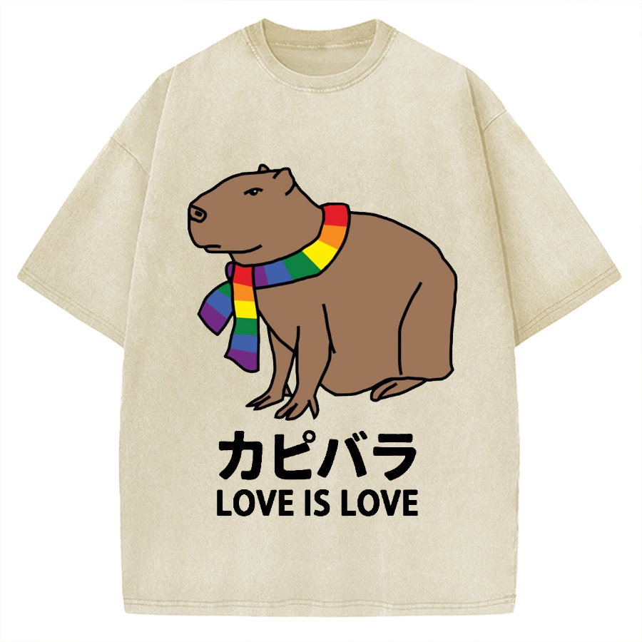 Capybara With Love Vintage Washed T-shirt
