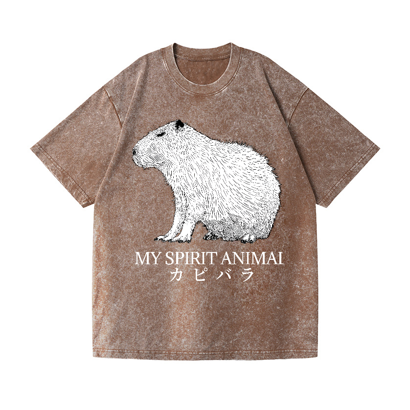 Capybara Vintage Wash Japanese Design T-Shirt