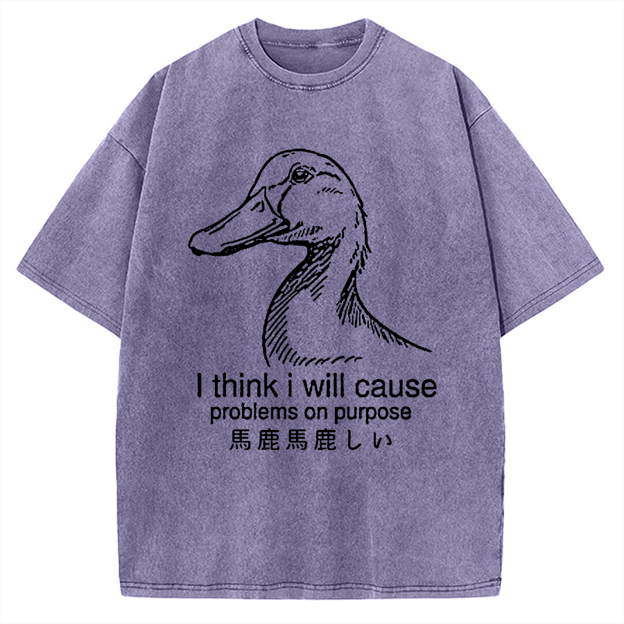 Funny Goose Vintage Washed T-shirt
