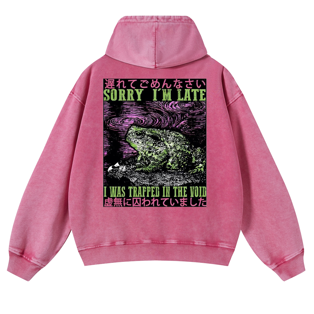 Frog's Void Excuse Vintage Washed Cotton Back Art Hoodie