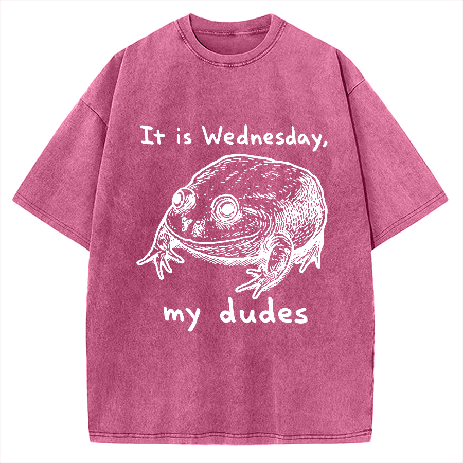 Wensday Frog Vintage Washed T-shirt