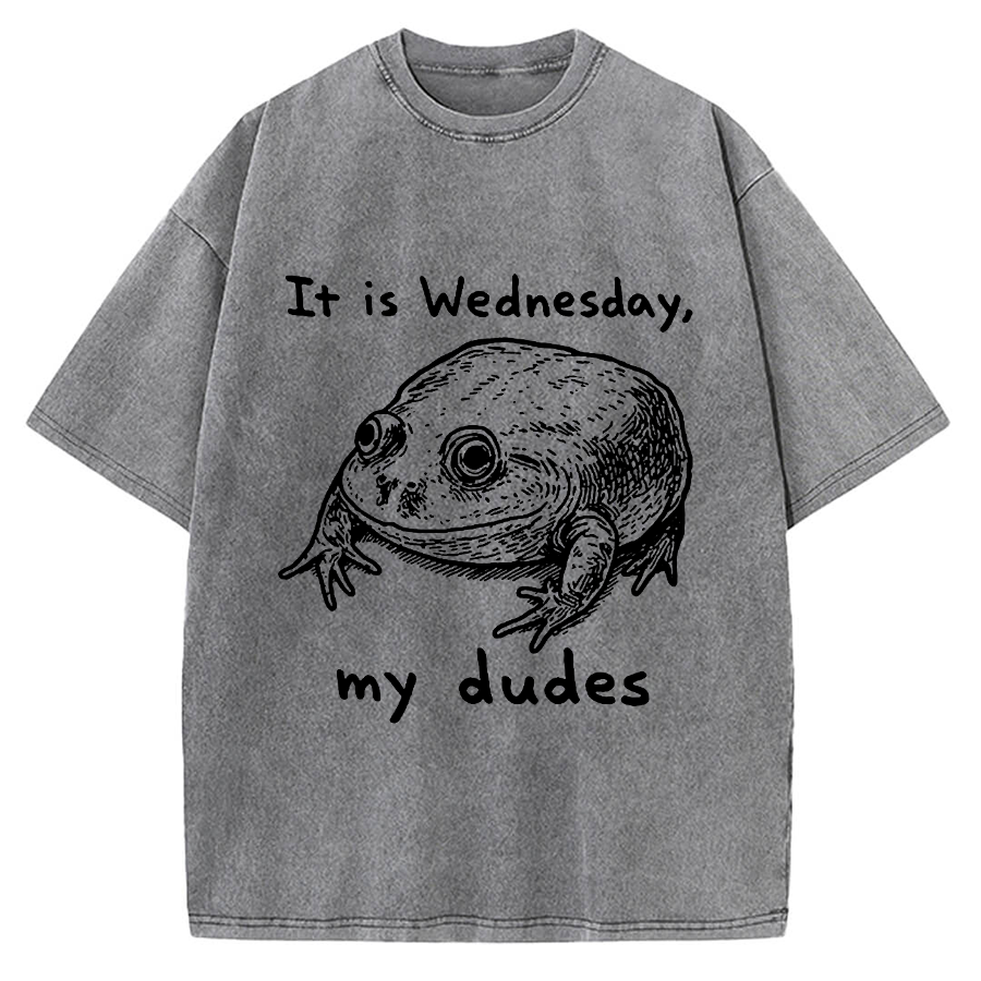 Wensday Frog Vintage Washed T-shirt
