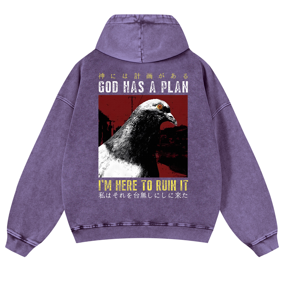 Pigeon Vintage Washed Cotton Back Art Hoodie