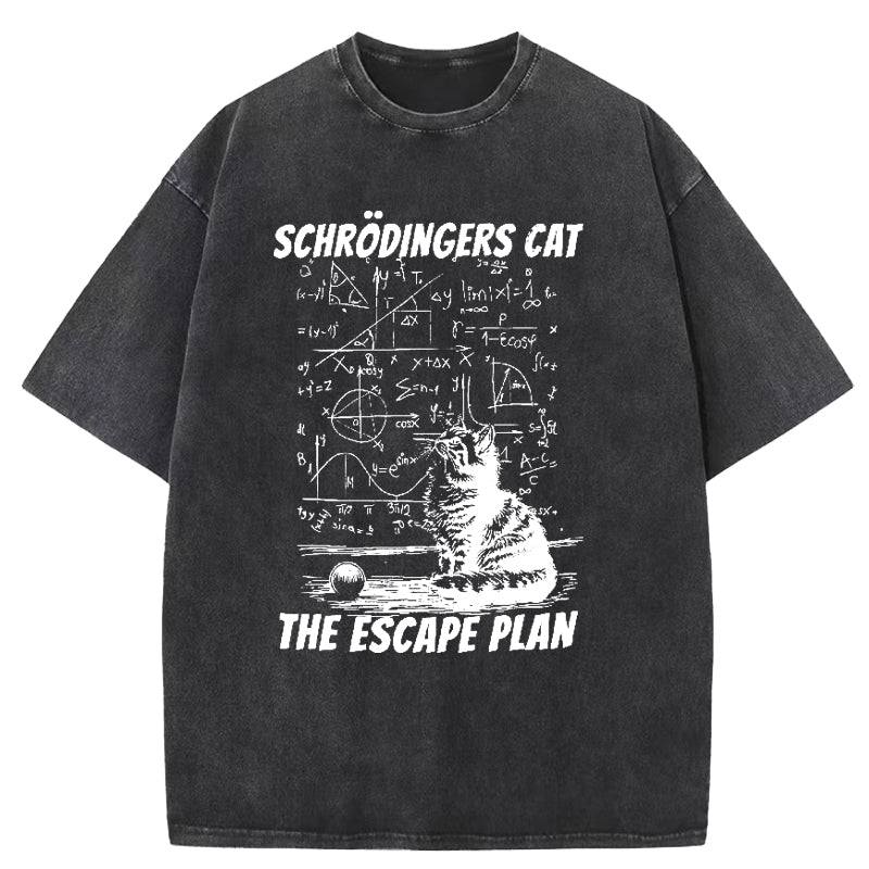 Schrodinger's Cat Washed T-Shirt