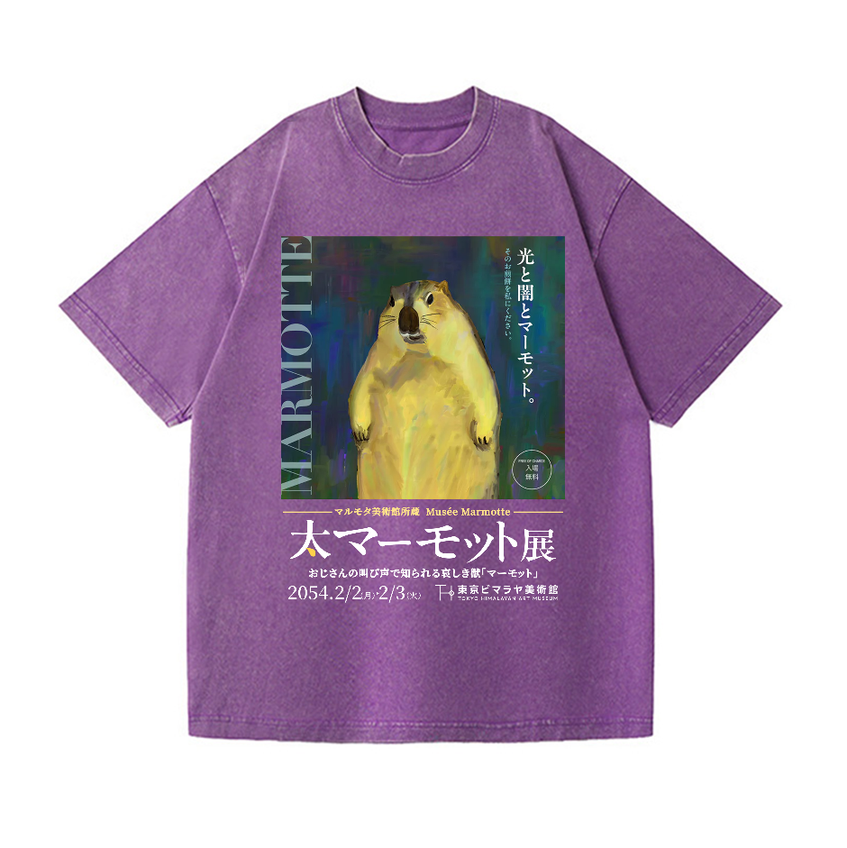 Marmot Vintage Wash Japanese Design T-Shirt