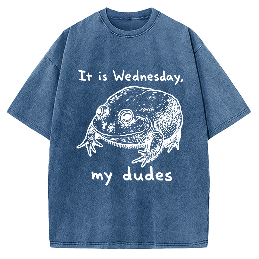 Wensday Frog Vintage Washed T-shirt