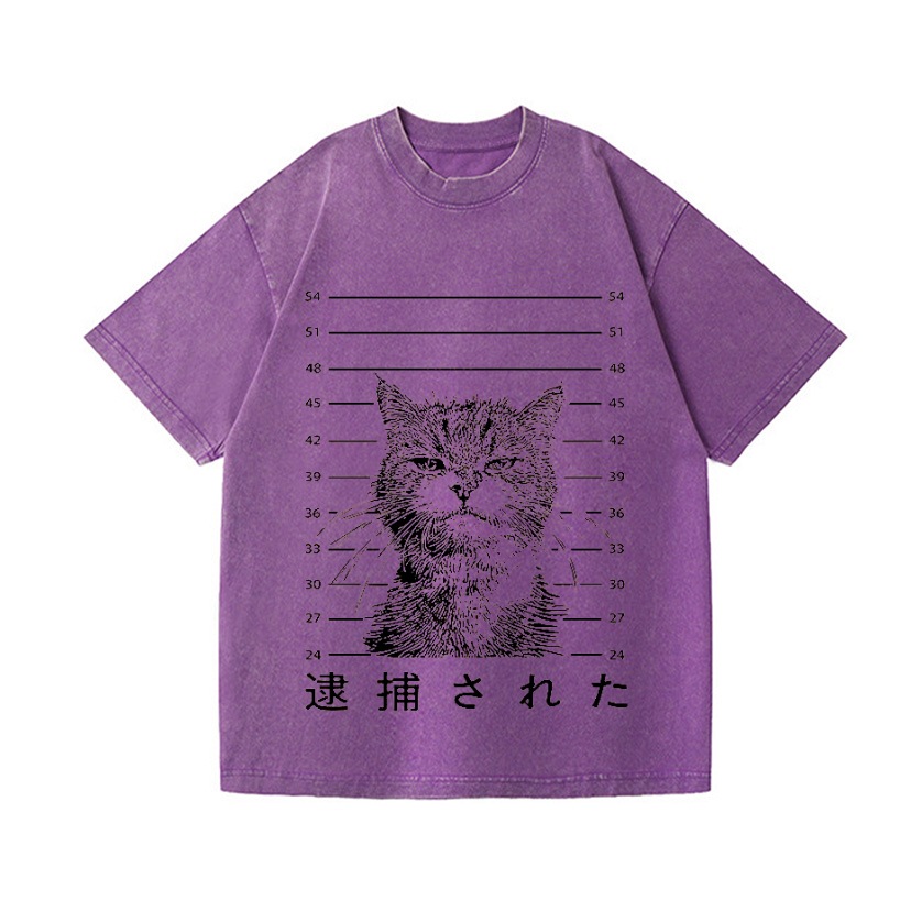 Arrested Cat Vintage Wash Japanese Design T-Shirt