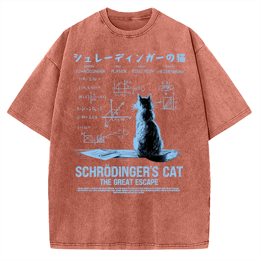Schrodinger's cat escape plan Vintage Washed T-shirt