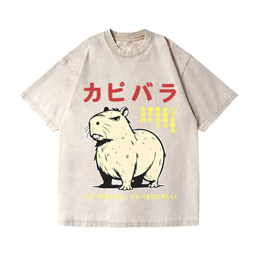Capybara Vintage Wash Japanese Design T-Shirt