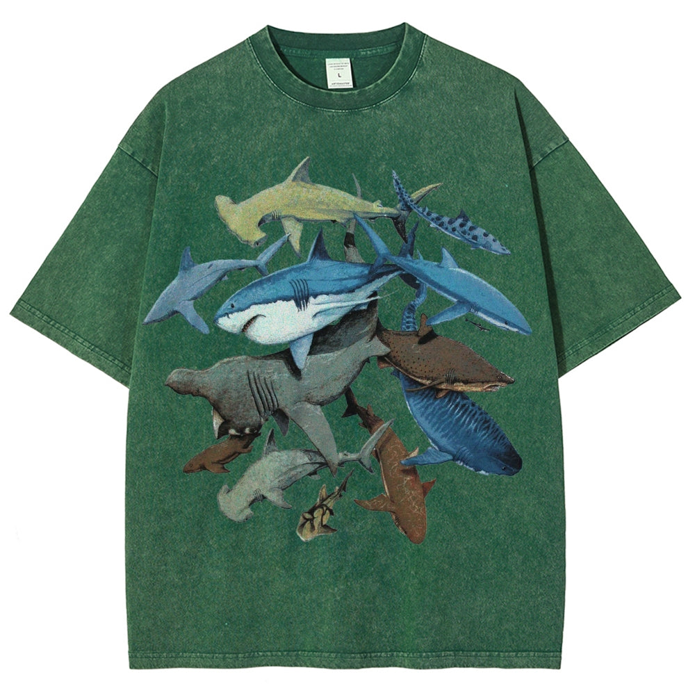 Unisex Washed Shark Identification Print T-shirt