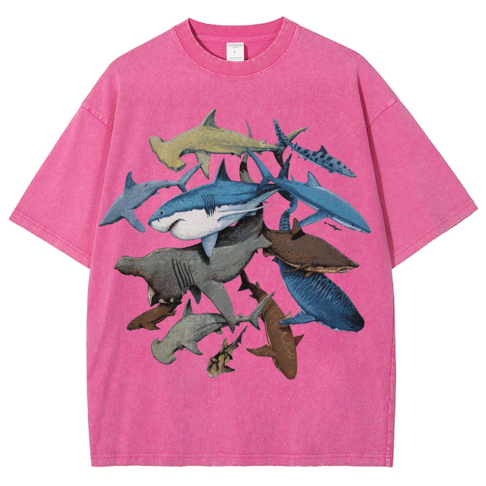 Unisex Washed Shark Identification Print T-shirt