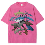 Unisex Washed Shark Identification Print T-shirt