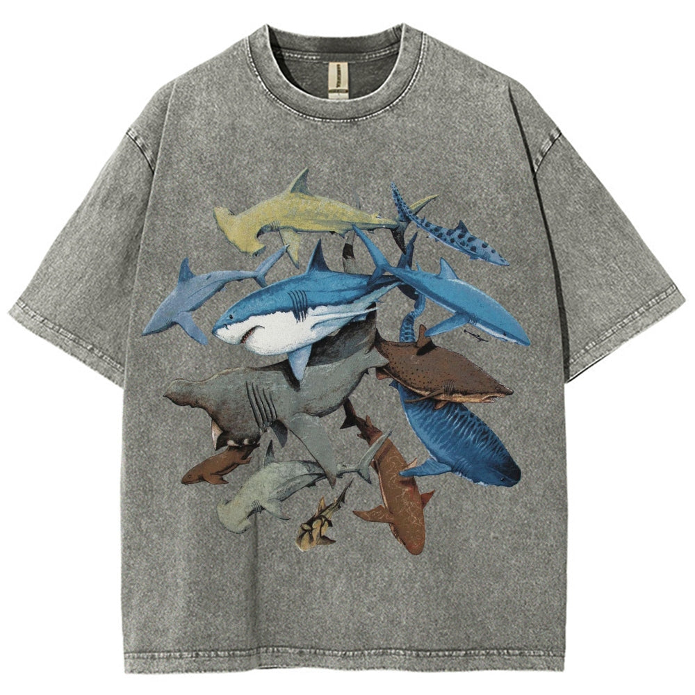 Unisex Washed Shark Identification Print T-shirt