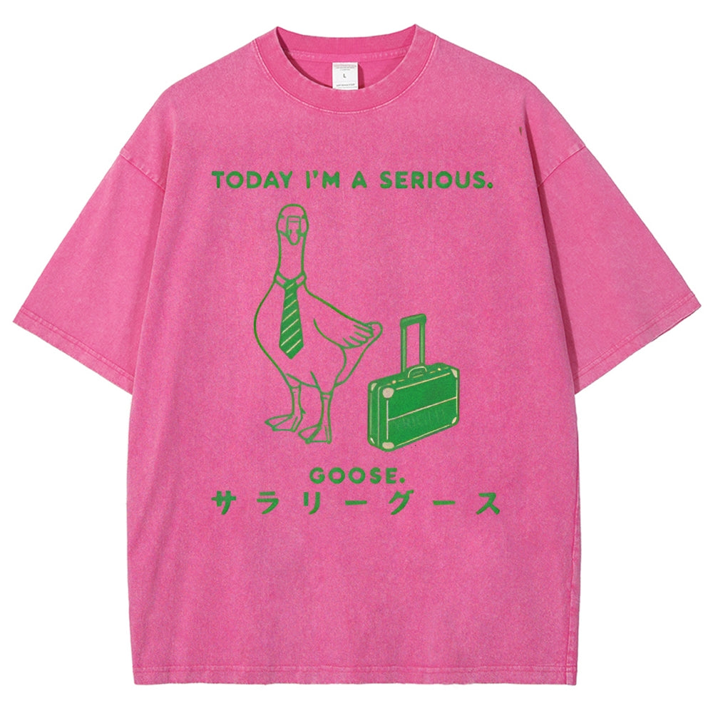 Unisex Goose Printed Washed Tee
