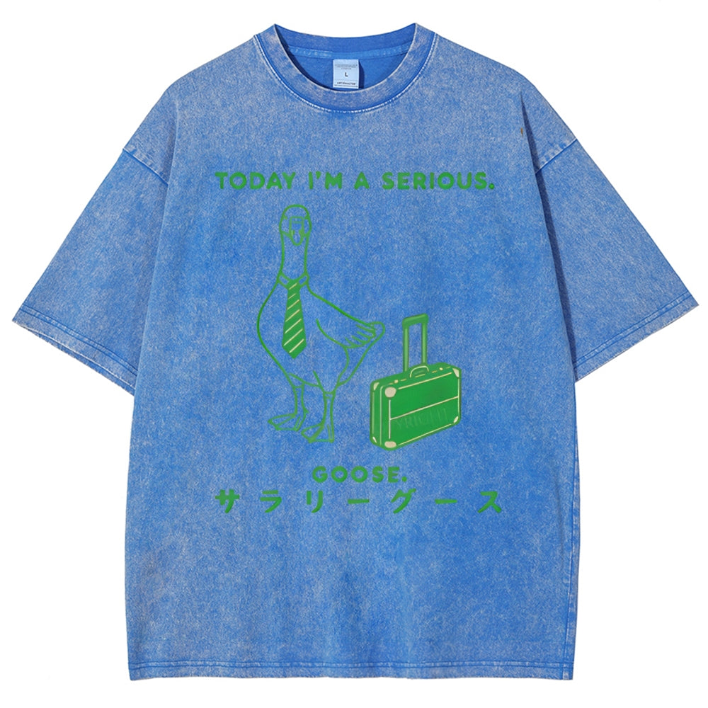 Unisex Goose Printed Washed Tee