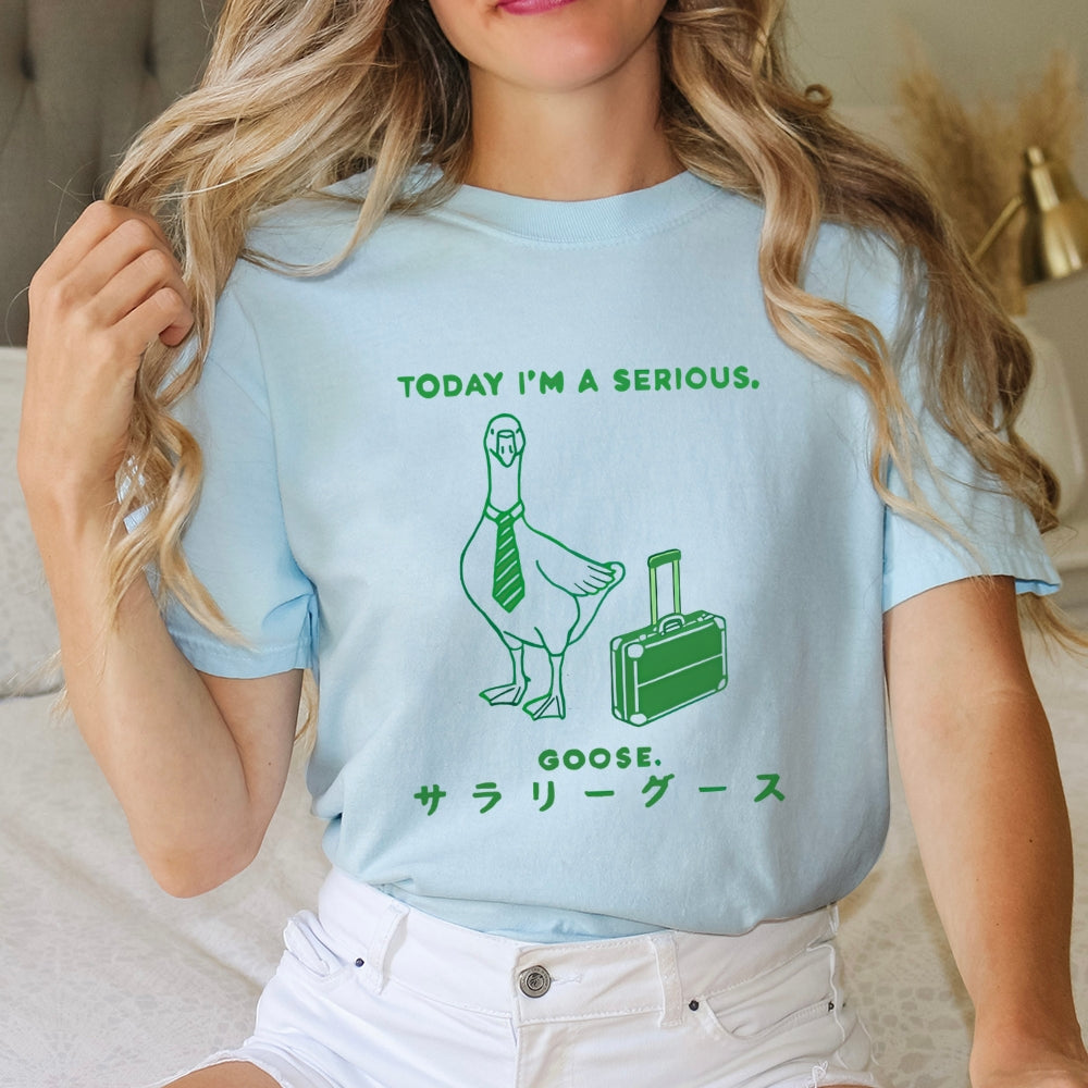 Today I'm a serious goose  T-Shirt