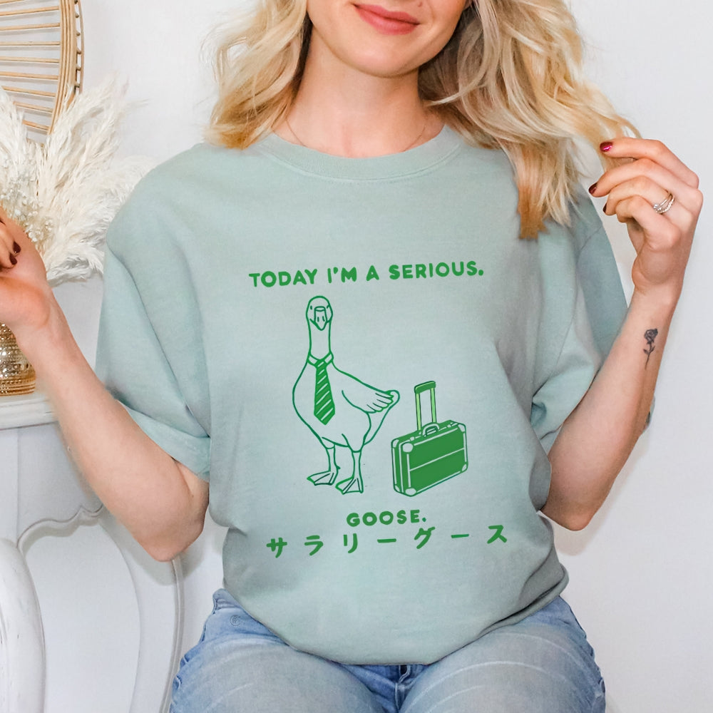 Today I'm a serious goose  T-Shirt